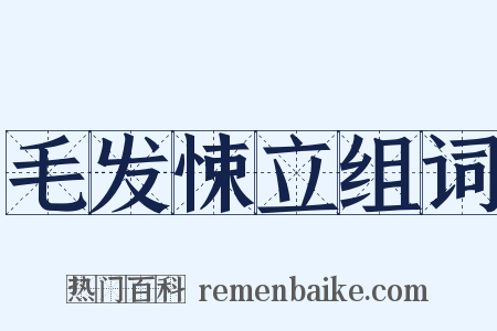 毛发悚立组词是什么意思的图片